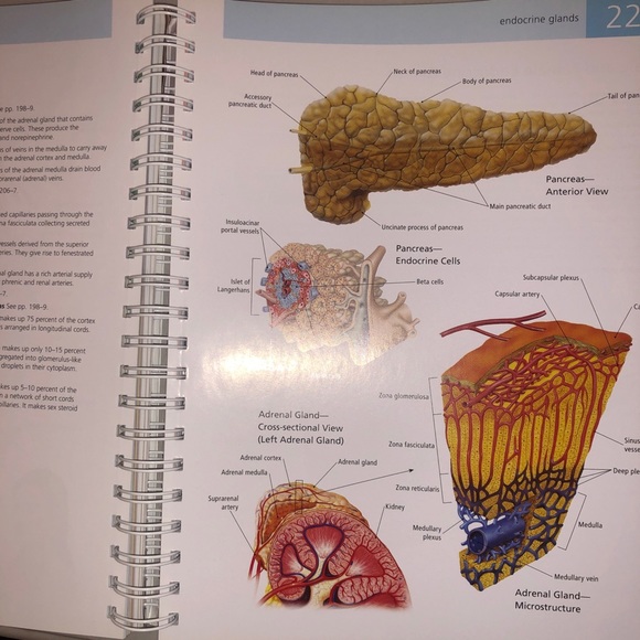 🫀 ⚕️Barron's The Anatomy Student's Self-Test Visual Dictionary Book Interactive - Picture 7 of 9